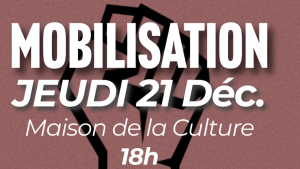 Mobilisation le jeudi 21 décembre : POURQUOI ?