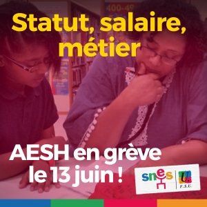 Pour un vrai statut, un vrai salaire pour les AESH, le 13 juin, tous en grève !