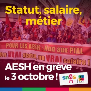 AESH en grève le 3 octobre