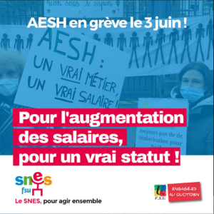 AESH : en grève le jeudi 3 juin, plus que jamais déterminé-es à conquérir un (…)